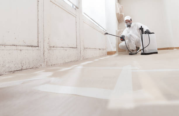 24/7 Emergency Crawl Space Mold Remediation experts in Bryn Athyn, PA