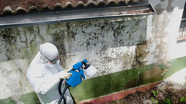 Top rated local Crawl Space Mold Remediation specialists in Bryn Athyn, PA